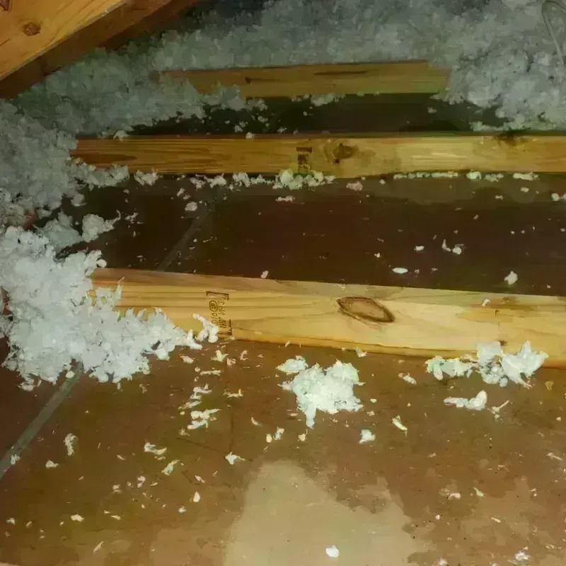 Attic Water Damage in Brillion, WI