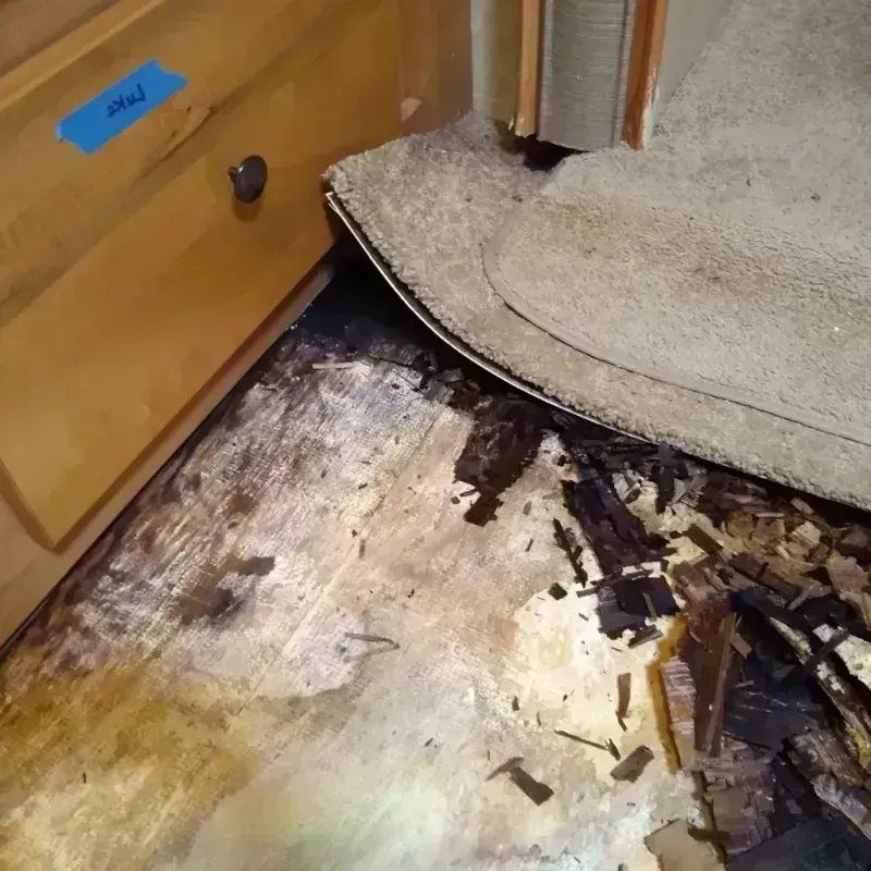 Wood Floor Water Damage in Brillion, WI